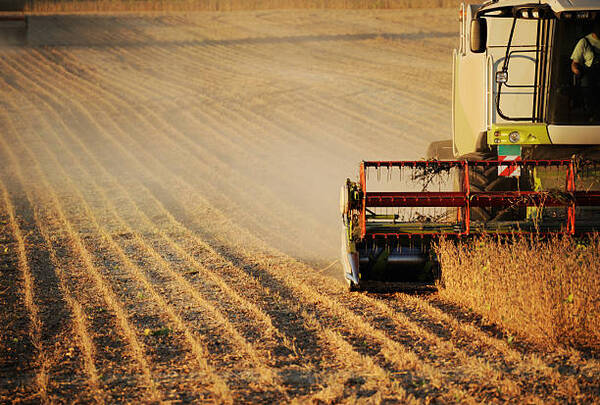 农业供应链管理服务（TLL-SCM09）